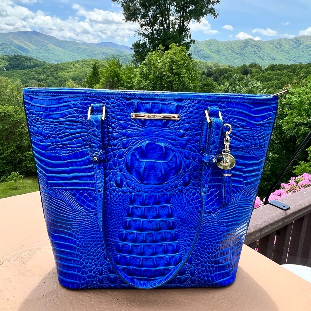 Brahmin bag